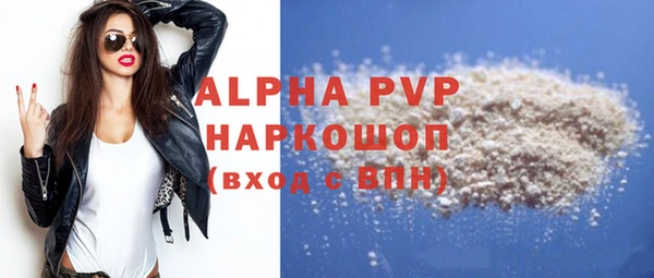 индика Богданович