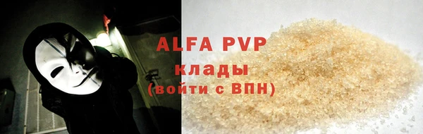 индика Богданович