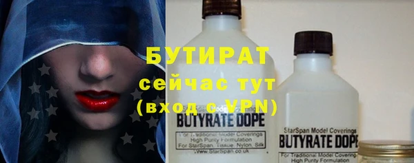 индика Богданович