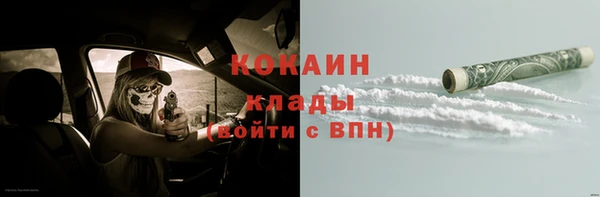 индика Богданович