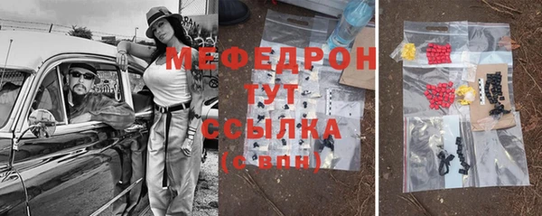 индика Богданович