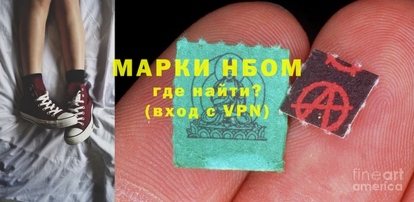 индика Богданович