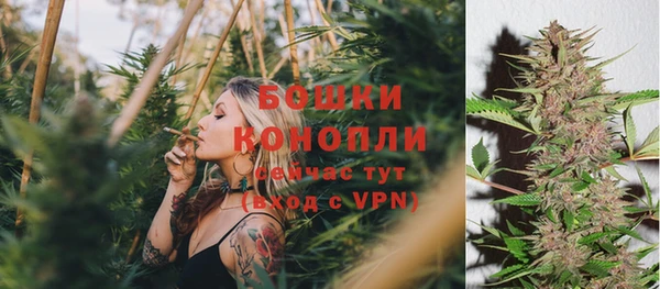 соль ск Богородицк