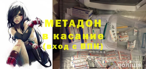 индика Богданович