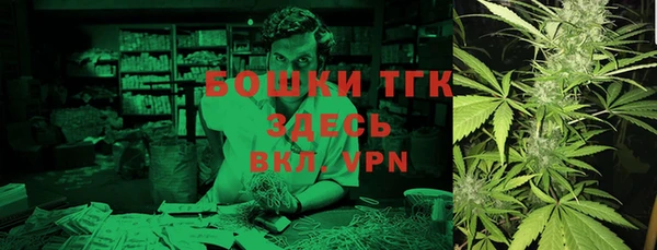 соль ск Богородицк