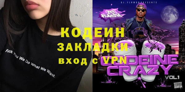 индика Богданович