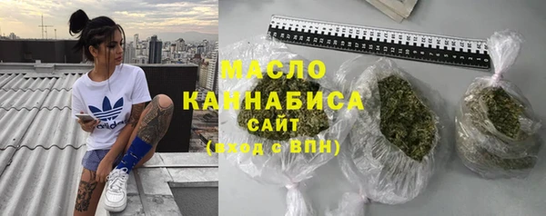 индика Богданович