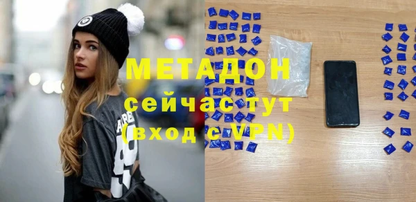 индика Богданович