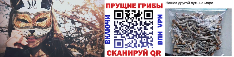 ссылка на мегу ONION Таганрог Псилоцибиновые грибы Psilocybe